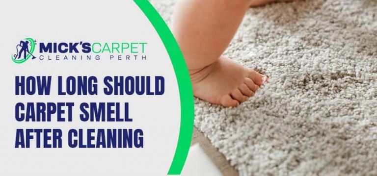 How Long Should Carpet Smell After Cleaning